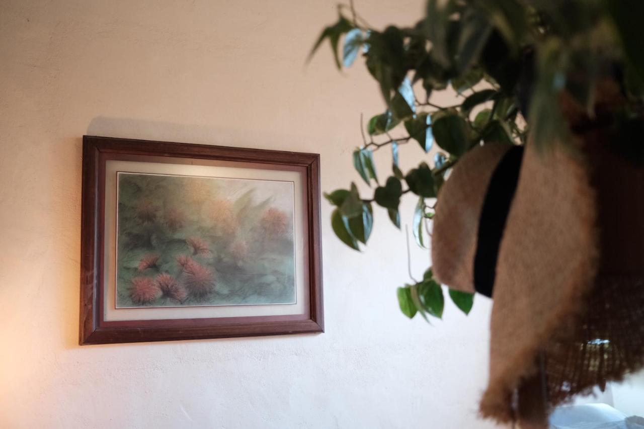 וייארמוסה Habitacion Dentro Kaabna Spa מראה חיצוני תמונה